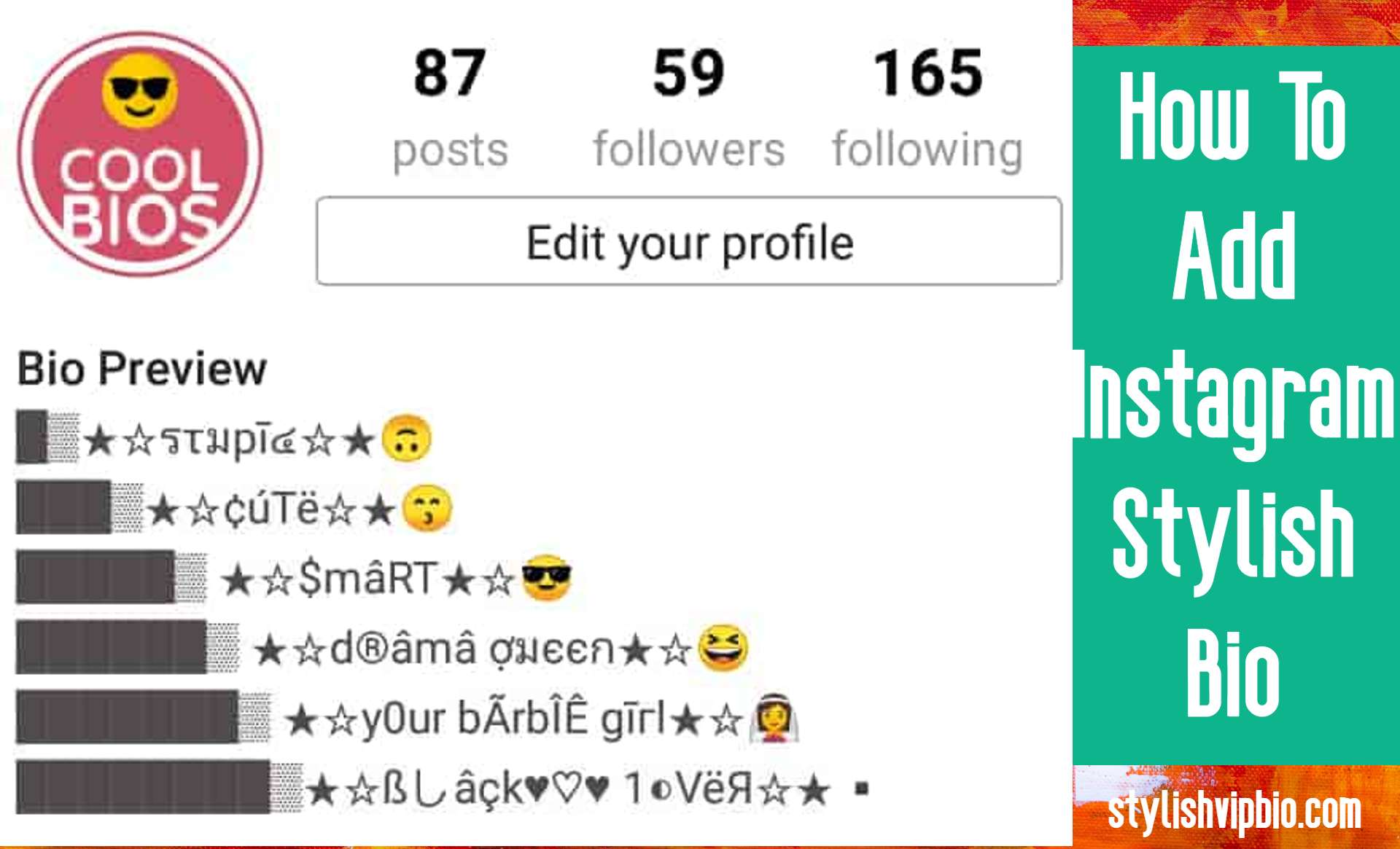 How To Add Instagram Stylish Bio