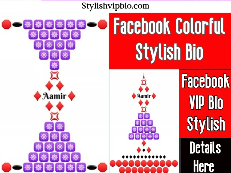 Facebook Colorful Stylish Bio
