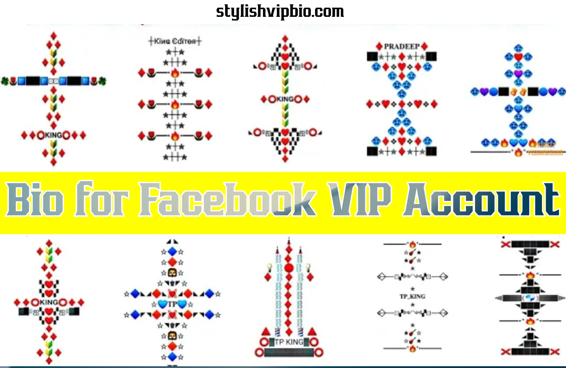 Bio for Facebook VIP Account
